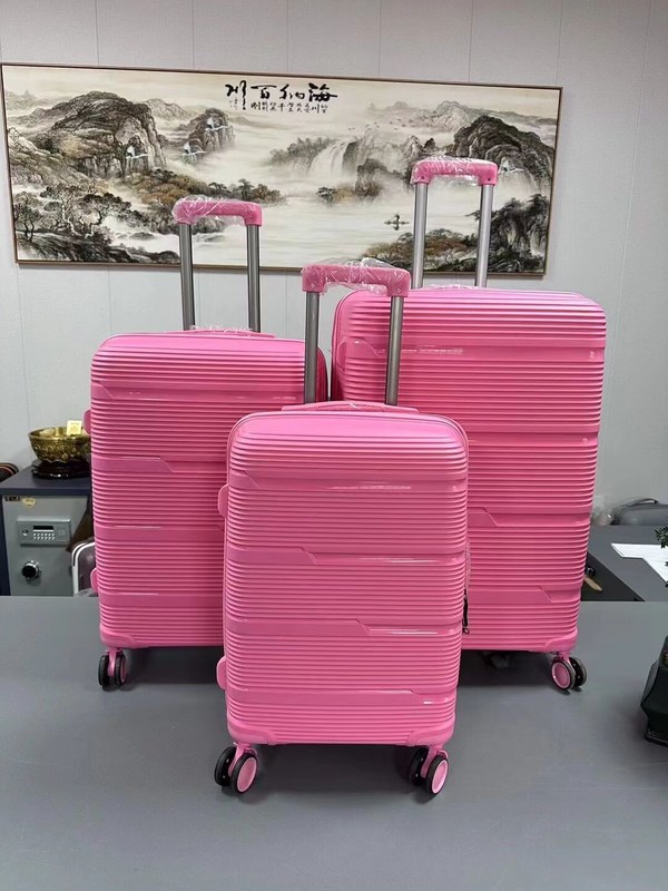 यात्रा और कार्य के लिए 20 24 28 इंच पीपी यात्रा सूटकेस