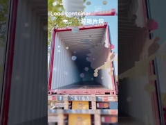 बहुरंगी बच्चों के लिए खिंचाव के साथ सूटकेस 30L दूरबीन हैंडल के साथ